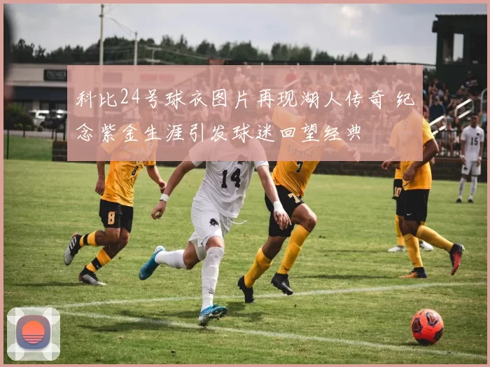 科比24号球衣图片再现湖人传奇 纪念紫金生涯引发球迷回望经典