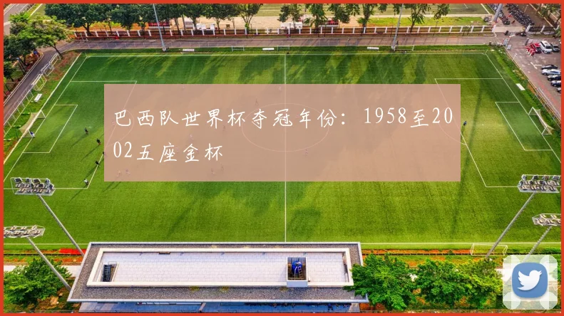 巴西队世界杯夺冠年份：1958至2002五座金杯